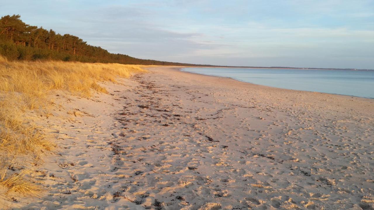 Ostseehaus Odin Doppelhaushaelfte Wiek auf Rügen Eksteriør bilde