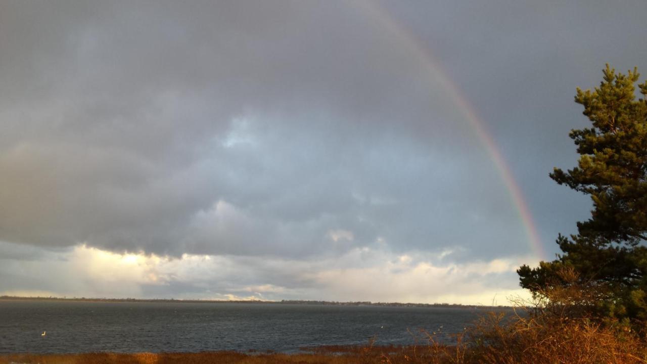 Ostseehaus Odin Doppelhaushaelfte Wiek auf Rügen Eksteriør bilde